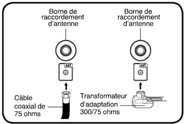 Borne de raccordement d'antenne Borne de raccordement d'antenne LANT. LANT. Câble coaxial de 75 ohms Transformateur d'adaptation 300/75 ohms