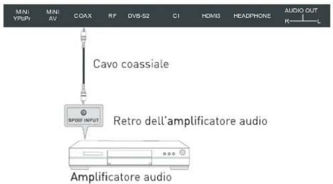 SEG Washington - Utilizzo dell'uscita audio digitale coassiale - 1