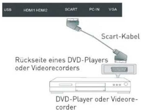 SEG Washington - SCART-Anschluss - 1