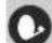 SEG Washington - Quick start - 2