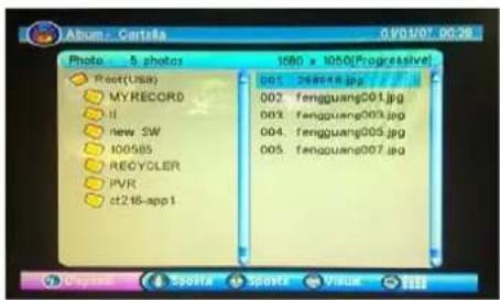 SEG Virginia - Album - 1
