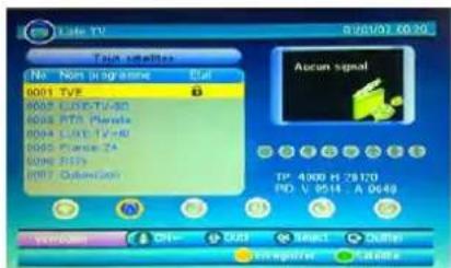 SEG Virginia - 2) TV/Radio - 3