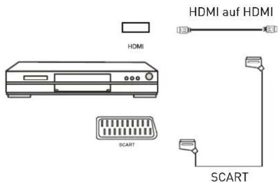 SEG Virginia - DVD-Player anschließen - 1