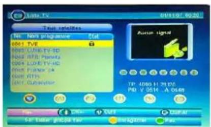 SEG Virginia - 2) TV/Radio - 2