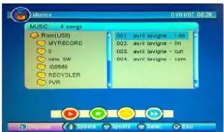 SEG Virginia - Musica - 1
