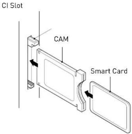 SEG Vermont - USING YOUR COMMON INTERFACE SLOT Common Interface - 1