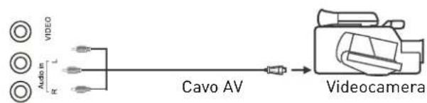 SEG Vermont - Utilizzare il cavo Scart dell'adattatore - 1