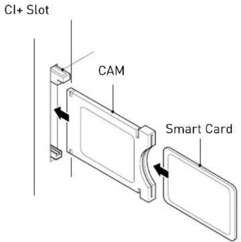 SEG Vancouver - Common Interface - 1