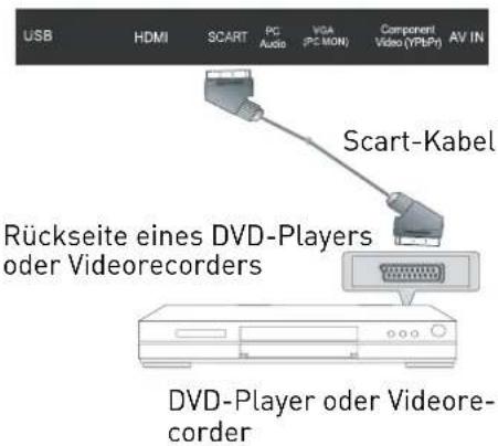 SEG Vancouver - SCART-Anschluss - 1