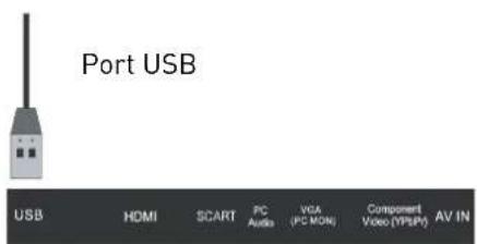 SEG Vancouver - Connexion USB - 1