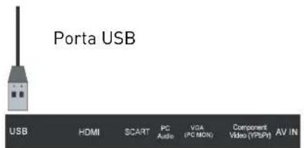 SEG Vancouver - Collegamento USB - 1