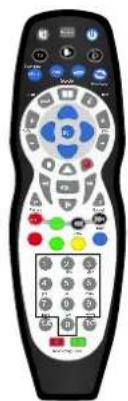 SEG Toronto II - Accessories - 1