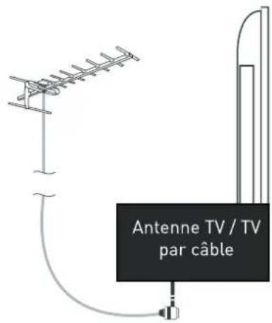 Antenne TV / TV par câble