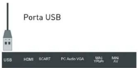 SEG Nizza - Collegamento USB - 1
