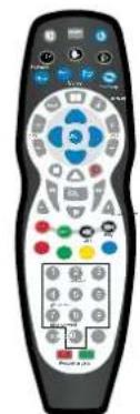 SEG Montreal - Accessoires - 1