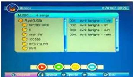 SEG Malaga - Musica - 1