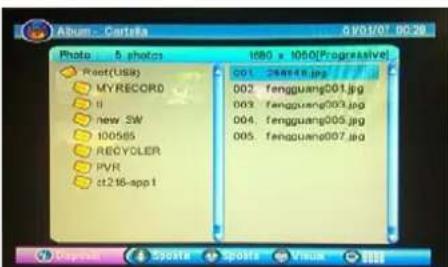 SEG Malaga - Album - 1