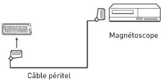 SEG Minnesota - Remarque : - 1