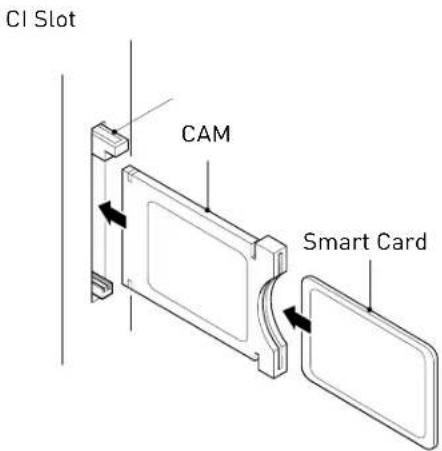 SEG Minnesota - Common Interface - 1