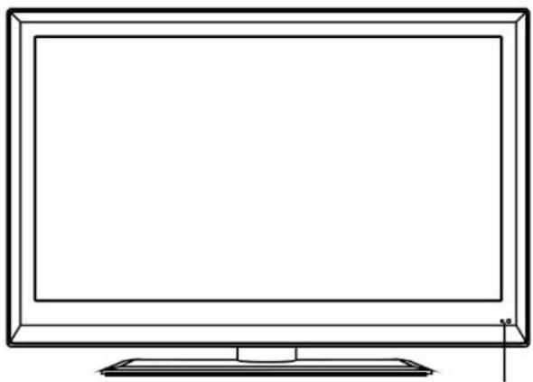 SEG Minnesota - LCD Screen - 11