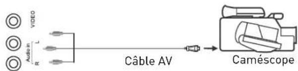 SEG Minnesota - Utilisation du câble adaptateur Scart - 1