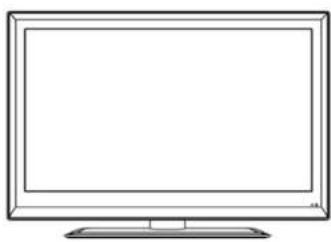 SEG Minnesota - LCD Screen - 1