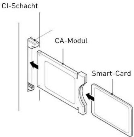 SEG Minnesota - Common-Interface - 1