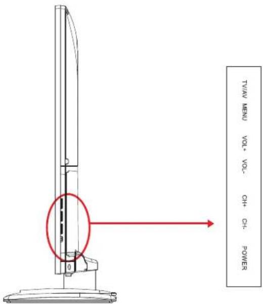 SEG Los AngelesS - LED-Bildschirm - 3