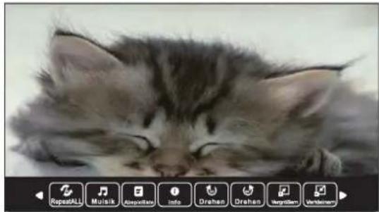 SEG Los AngelesS - Foto - 1