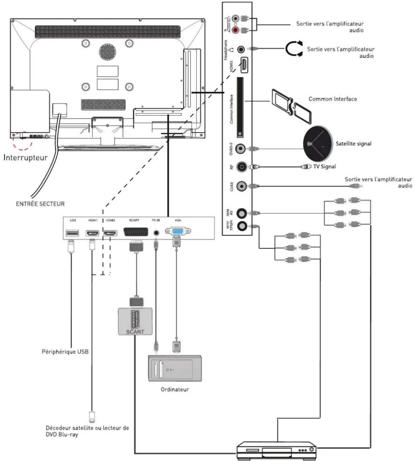 SEG Los AngelesS - Câble VGA - 1