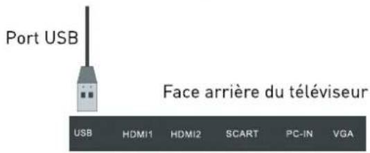 SEG Los AngelesS - Connexion USB - 1