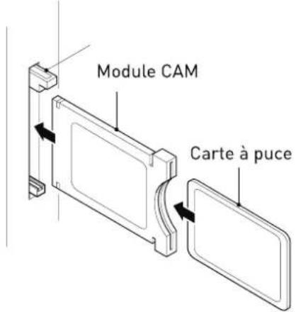 SEG Los AngelesS - Common Interface - 1