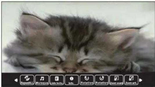 SEG Los AngelesS - Photo - 1