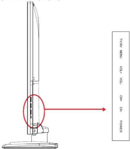 SEG Los AngelesS - Écran LED - 3