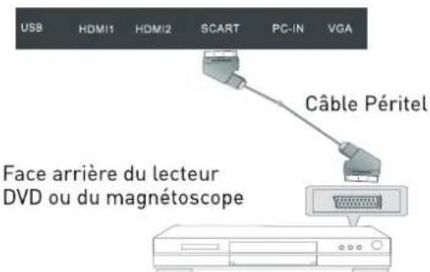 SEG Los AngelesS - Connexion à la prise PÉRITEL - 1