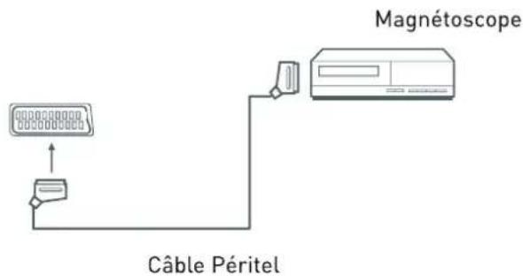 SEG Los AngelesS - Magnétoscope - 1