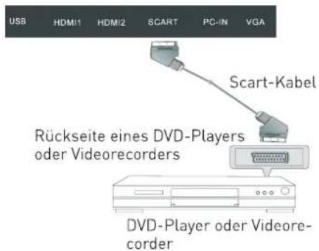 SEG Los AngelesS - SCART-Anschluss - 1