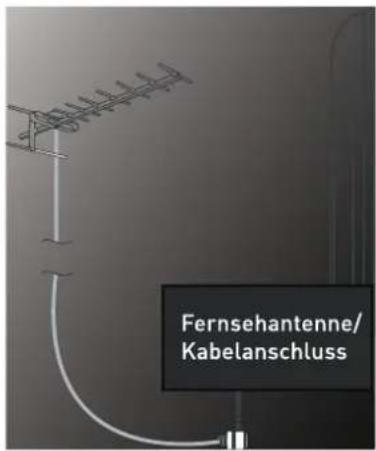 SEG Los AngelesS - Fernsehantenne anschließen - 1