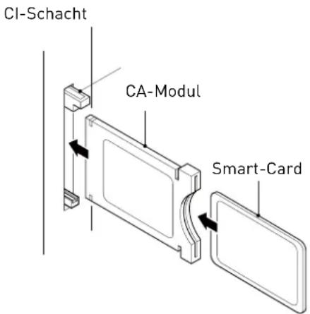 SEG LED2400 - Common-Interface - 1
