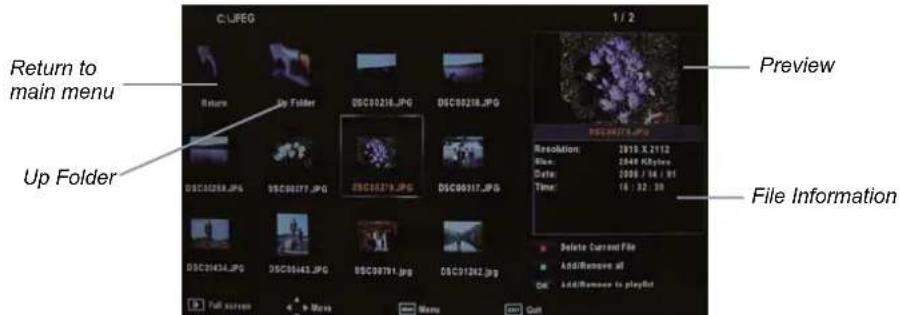 SEG LED2400 - Basic Operation - 3