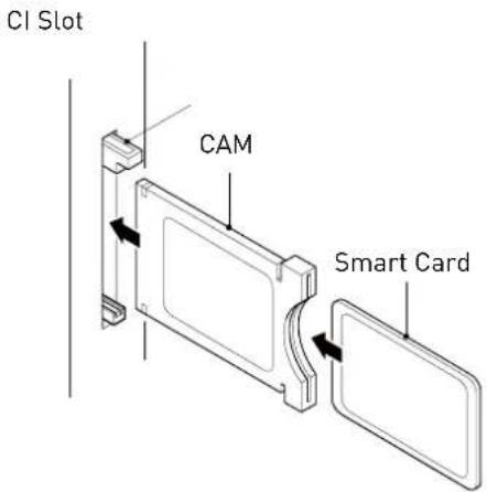 SEG LED2400 - USING YOUR COMMON INTERFACE SLOT Common Interface - 1