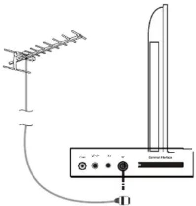 SEG LED2400 - Connessione dell'antenna TV - 1