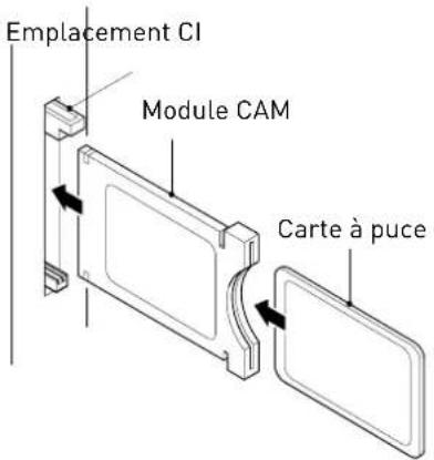 SEG LED1900 - Common Interface - 1