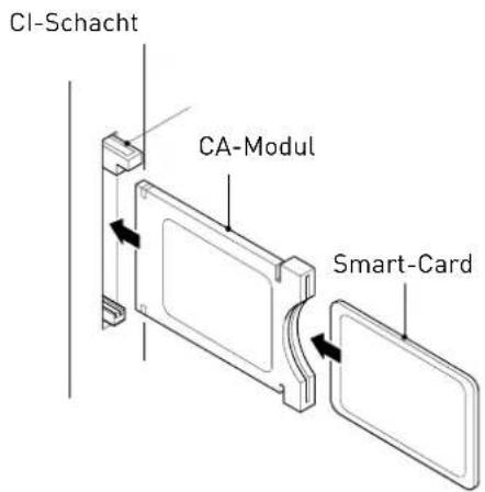 SEG LED1900 - Common-Interface - 1