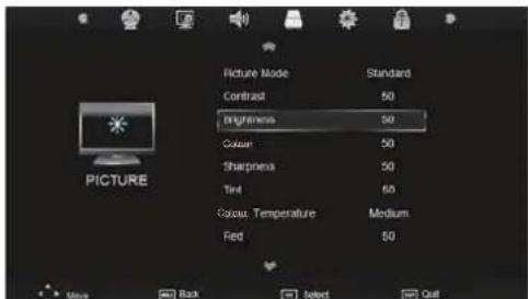 SEG LED1900 - CI Information - 1