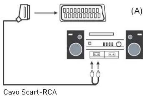 SEG LED1900 - Collegamento a un impianto audio - 1