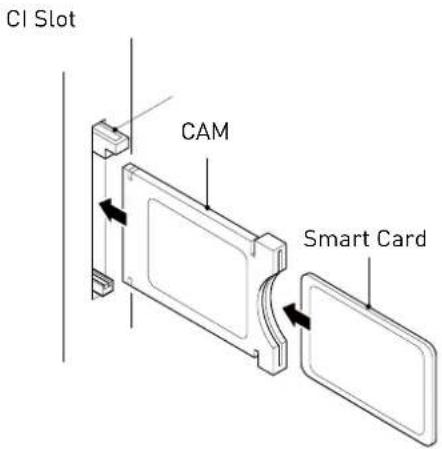 SEG LED1900 - USING YOUR COMMON INTERFACE SLOT Common Interface - 1