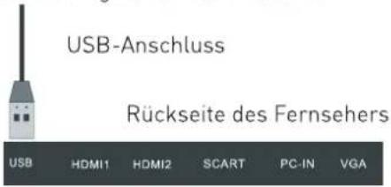 SEG Los AngelesB - USB-Anschluss - 1