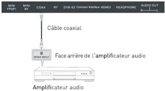 SEG Los AngelesB - Utilisation de la sortie audio numérique coaxiale - 1