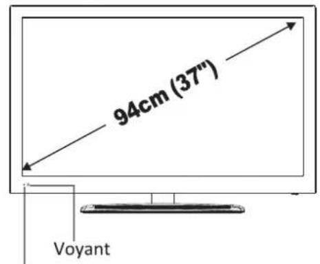 SEG Los AngelesB - Écran LED - 2